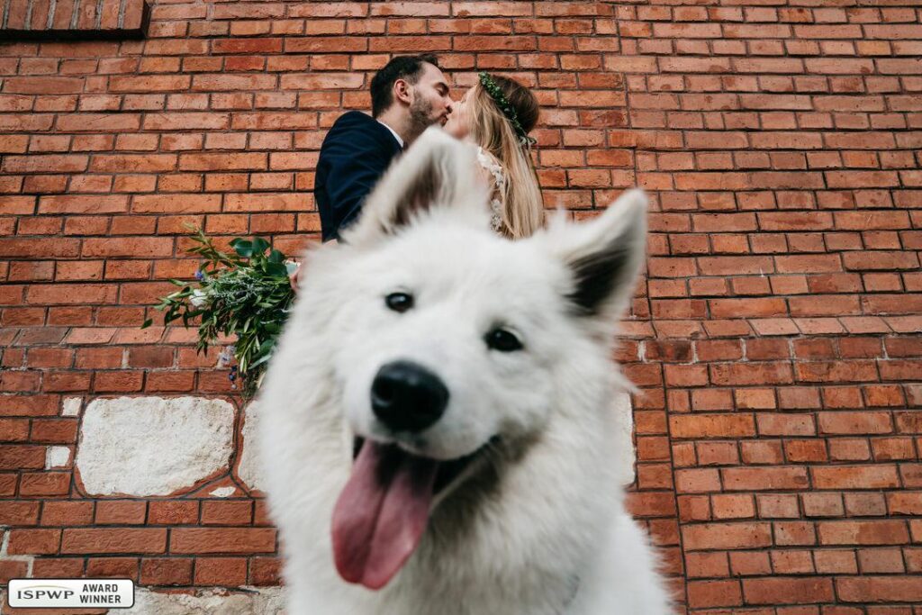 BasiaMarcin_plener_0074-cb0ea272d758f2cceb7b0e7aeef95efa