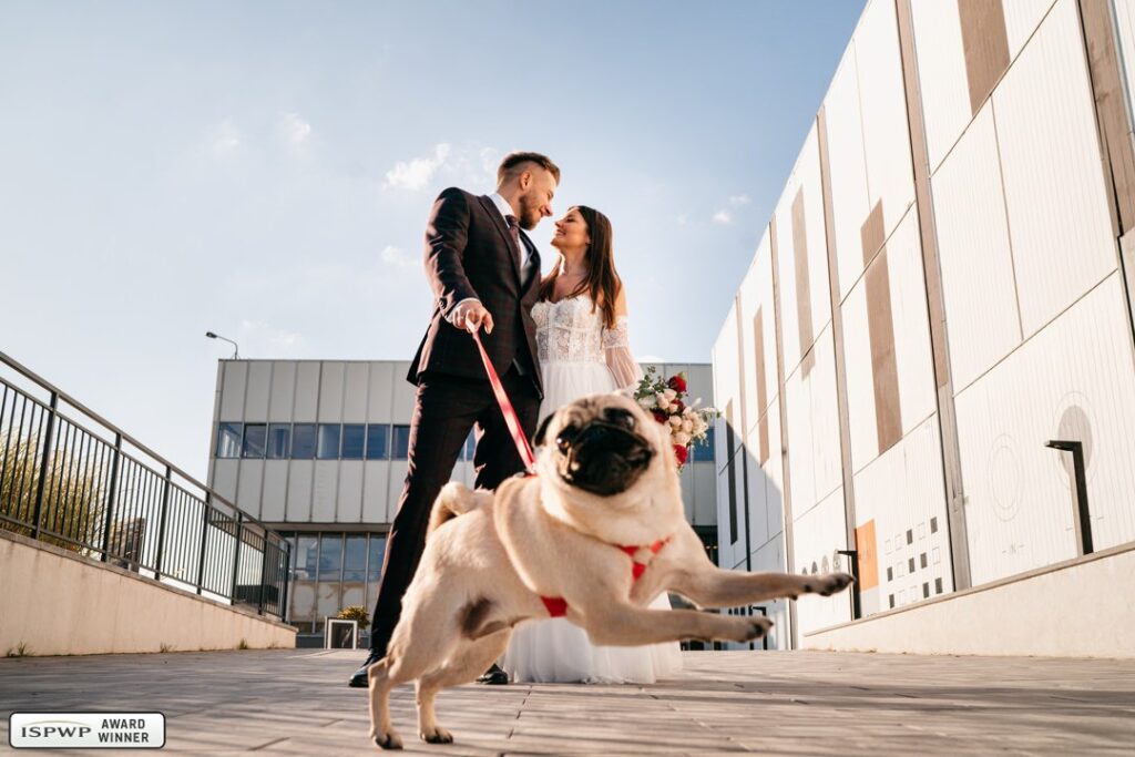 EwelinaMarek_0006-628133cdc4cc4a0550121cfbb275ea1b